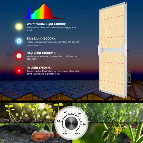 Biosweed Grow Kit 90x90x180cm – Komplettes Set mit LED Grow Light, Ventilationssystem und Zubehör